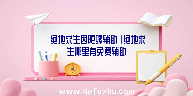 「绝地求生因陀螺辅助」|绝地求生哪里有免费辅助